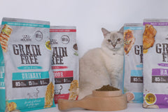 Absolute Holistic Grain Free Dry Cat Food - Kitten Dry