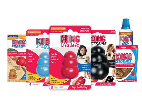 Kong Dog Toy - Classic (6 Sizes)