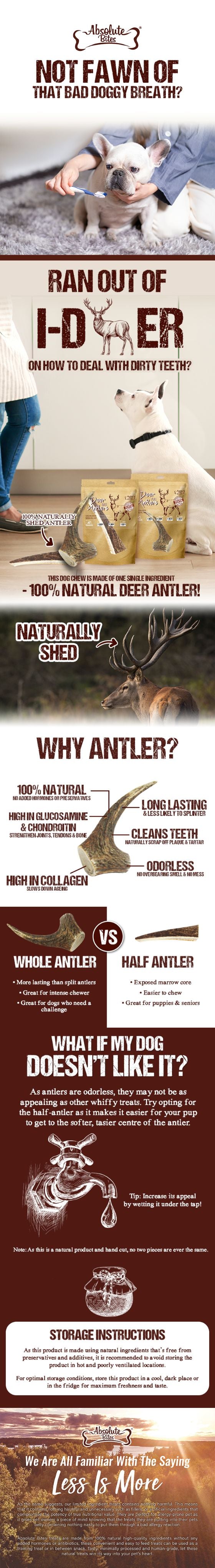 Absolute Bites Single Ingredient Dog Chew - Whole Deer Antler (Medium) | Dental Care