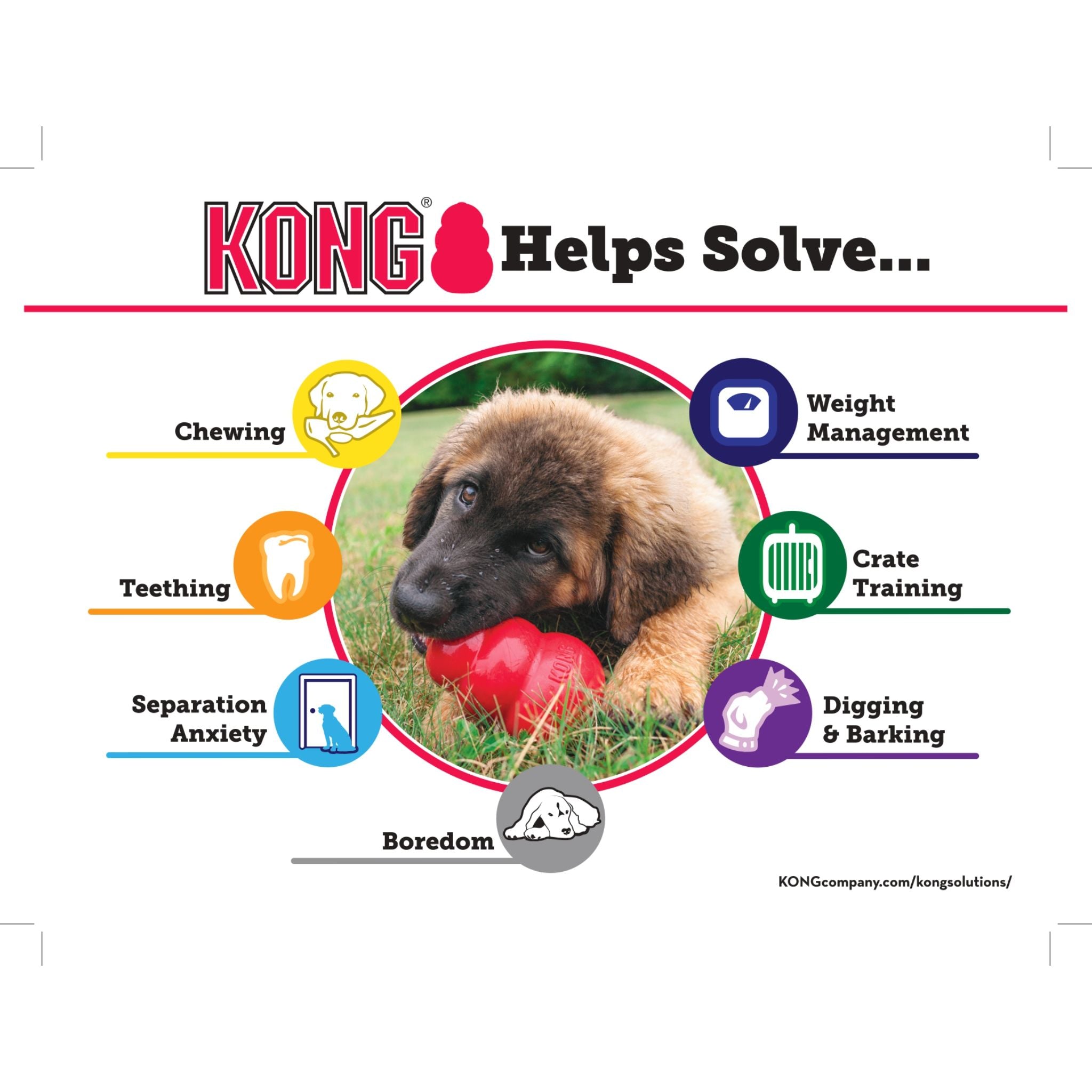 KONG Dog Toy - Goodie Bone (3 Sizes)