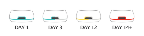 day counter status, day 1 - 11 green, day 12 & 13 yellow, day 14 red