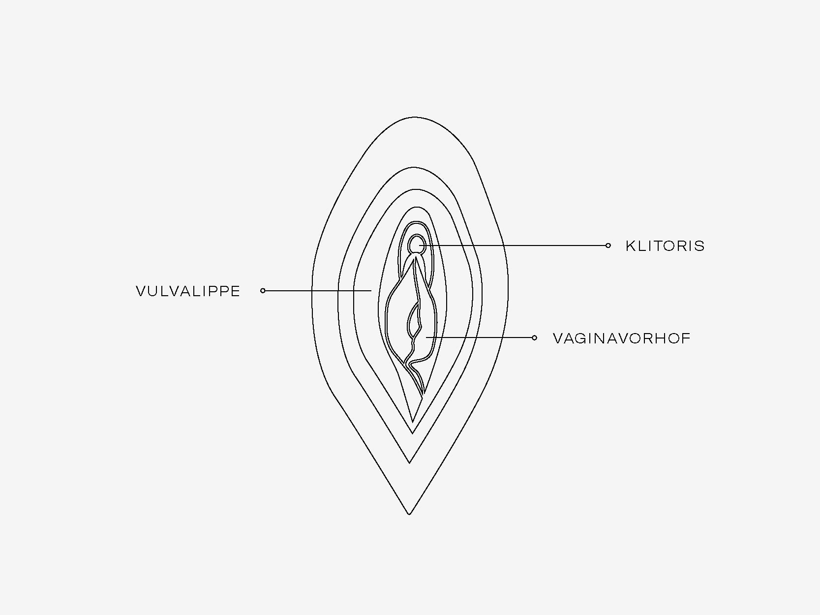 Vulva Abbildung