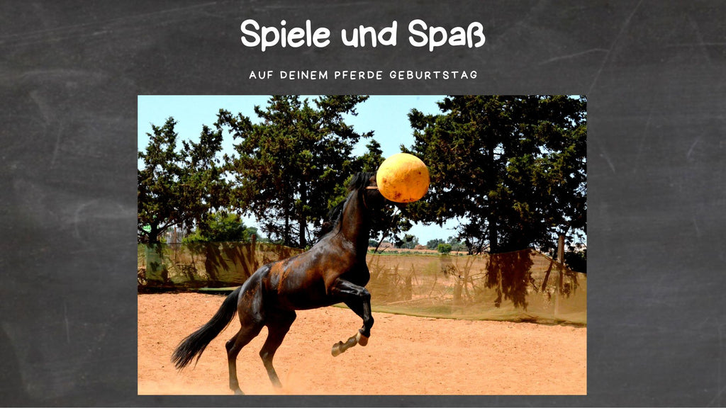 Spiele für den Pferdegeburtstag