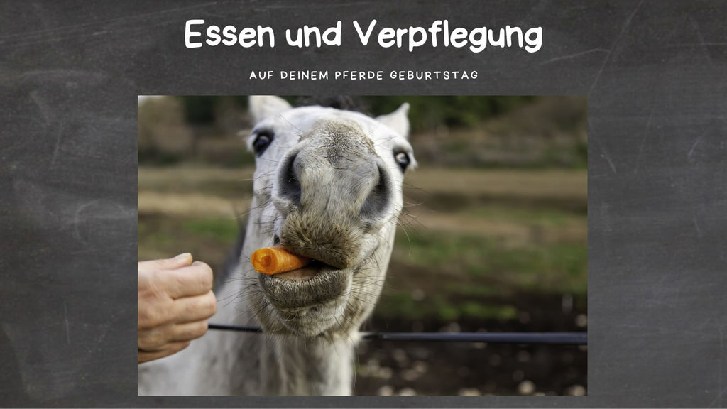 Essen und Snacks für den Pferdegburtstag