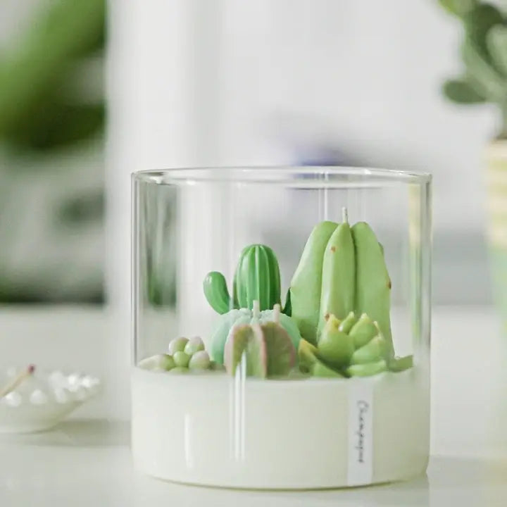 Large 3-wick Terrarium Candle | Soy Blend