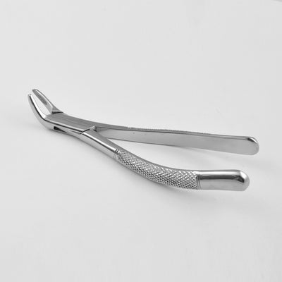 Extraction Forceps English Surgery Instrument – Surgical Instrument