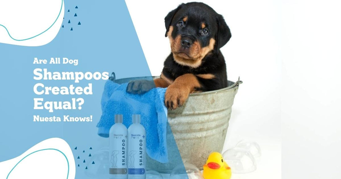 vægt beløb Parlament Are All Dog Shampoos Created Equal? Best Smelling Dog Shampoo – Nuesta Pets