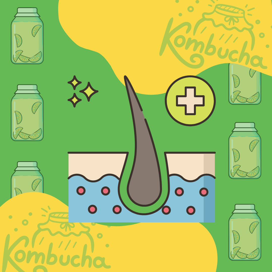 kombucha probiotic
