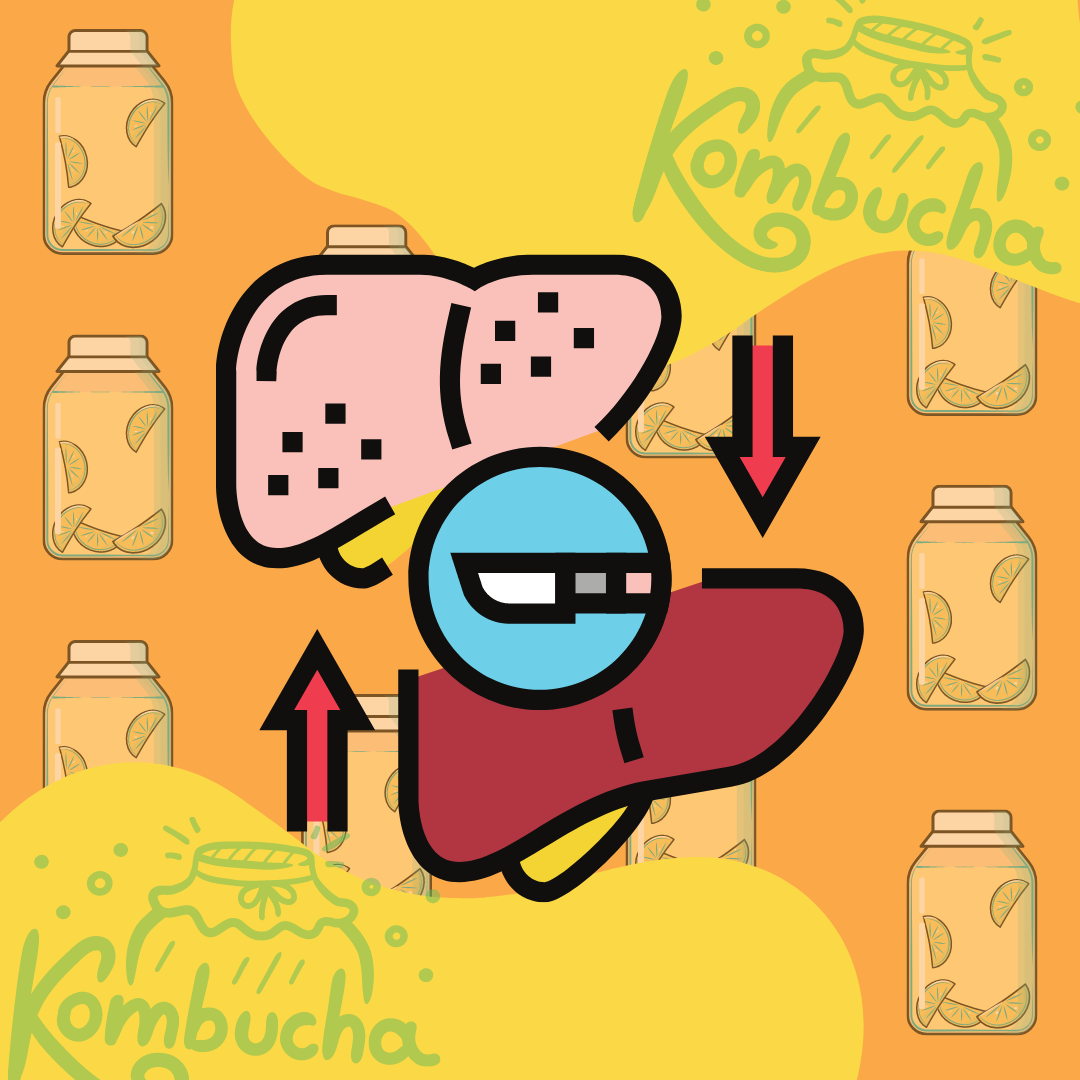 kombucha probiotic