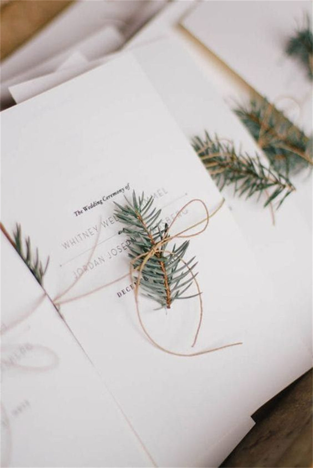 Vintage White Winter Wedding Invitation Ideas