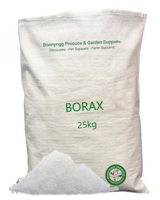 Borax Powder