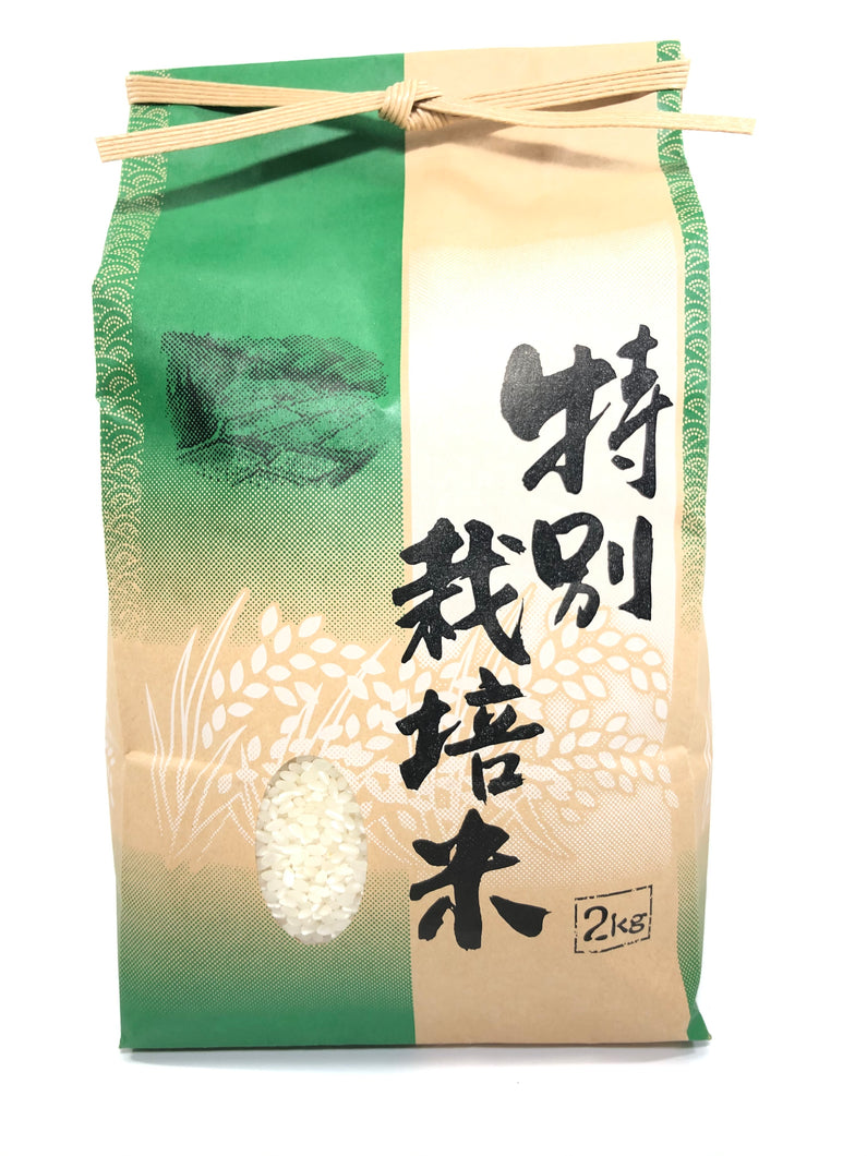 令和3年産 ひのひかり 玄米30キロ 淡路島産 精米小分け可 30kg - 米