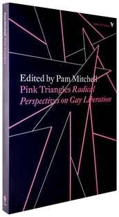 Avec le Pink Bloc, les LGBTQIA+ contre la réforme des retraites -  Gouinement lundi, podcast des lesbiennes, bies et trans, féministes