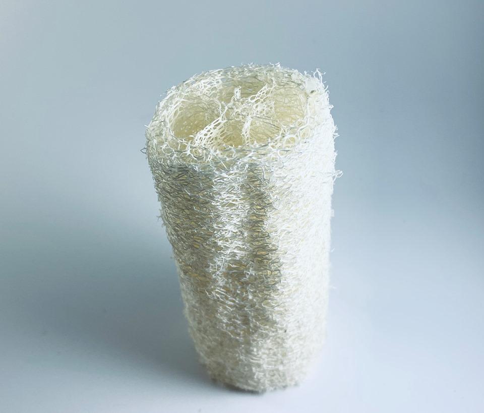 https://cdn.shopify.com/s/files/1/0569/3905/3210/products/Loofah_1024x1024.jpg?v=1626980691