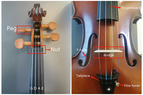 Parts of the violin Fiddlover 1.18