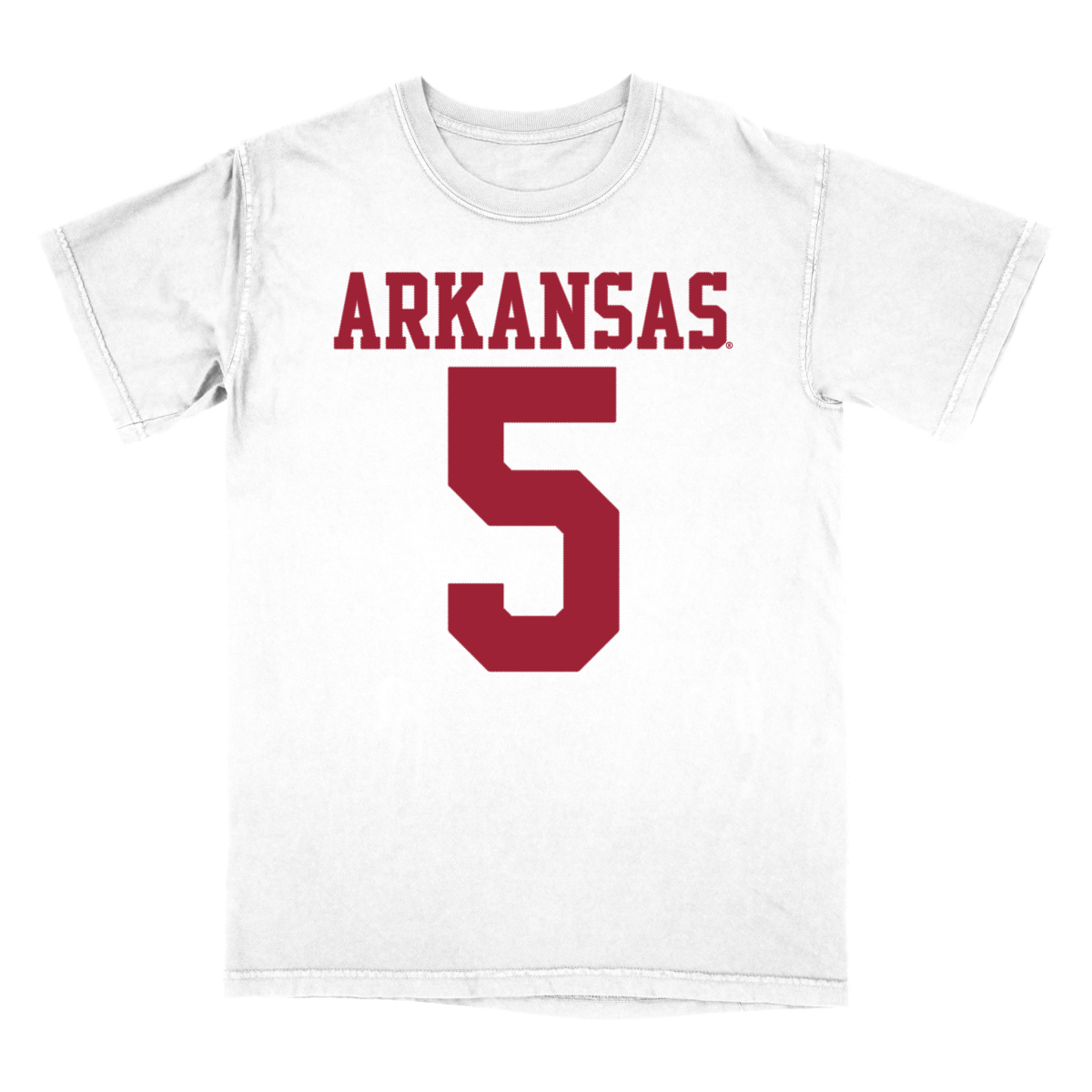 Darren Mcfadden Jersey Razorbacks #5 NCAA College Football Red