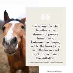 Photo of a horse looking at the camera. Text: It was very touching to witness the streams of people transitioning between the chapel, out to the lawn to be with the horse, and back again during the visitation. E. Dale Gunter Funeral Home & Cremation Services