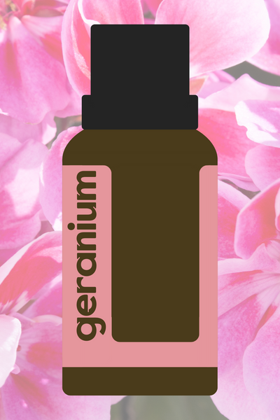 Geranium Essential Oil