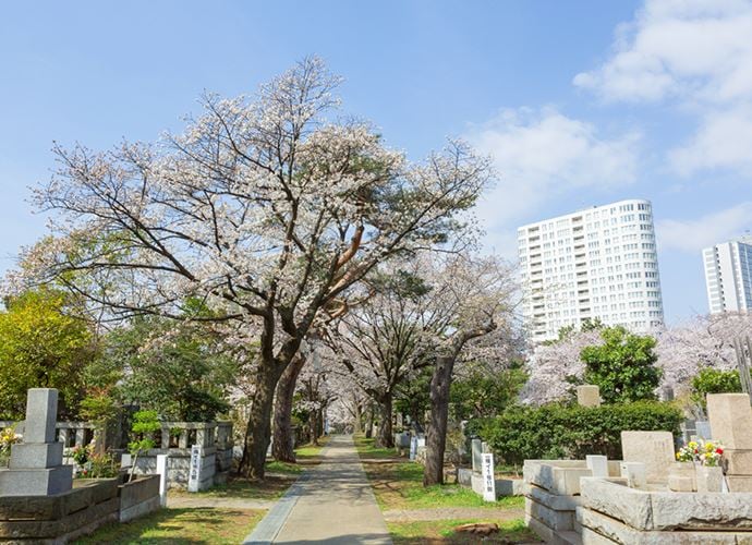 青山霊園