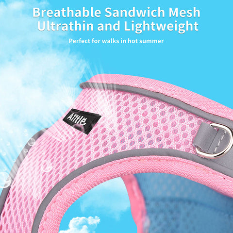 Summer Breathable Dog Harness