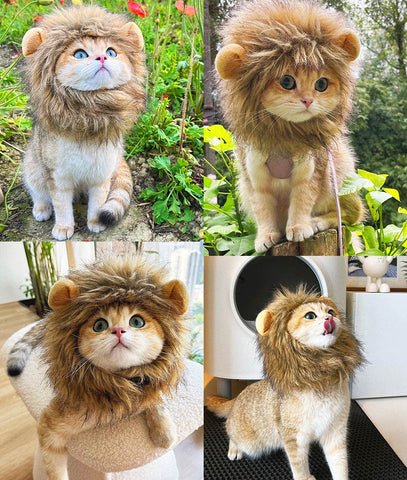Aiitle Funny Cat Cosplay Lion Mane Wig