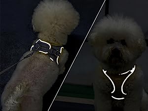 reflective dog harness for night walk