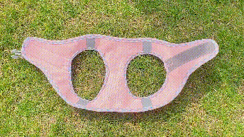 Aiitle mesh dog harness