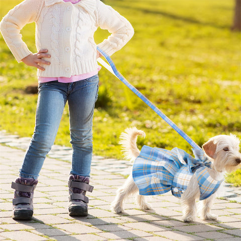 Aiitle Cute Pet Plaid Skrit Harness Leash Set