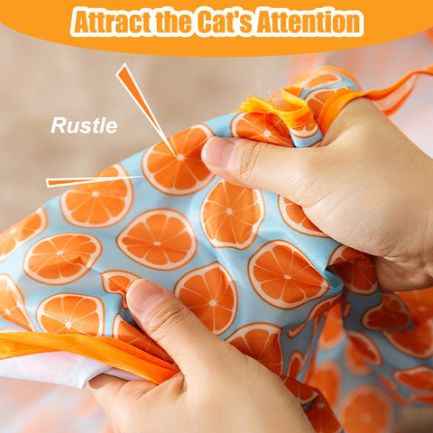 Aiitle Squeaky Self Interactive Cat Tunnel Bag