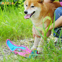 Aiitle Soft Adjustable Breathable Mesh Dog Harness Hot Pink