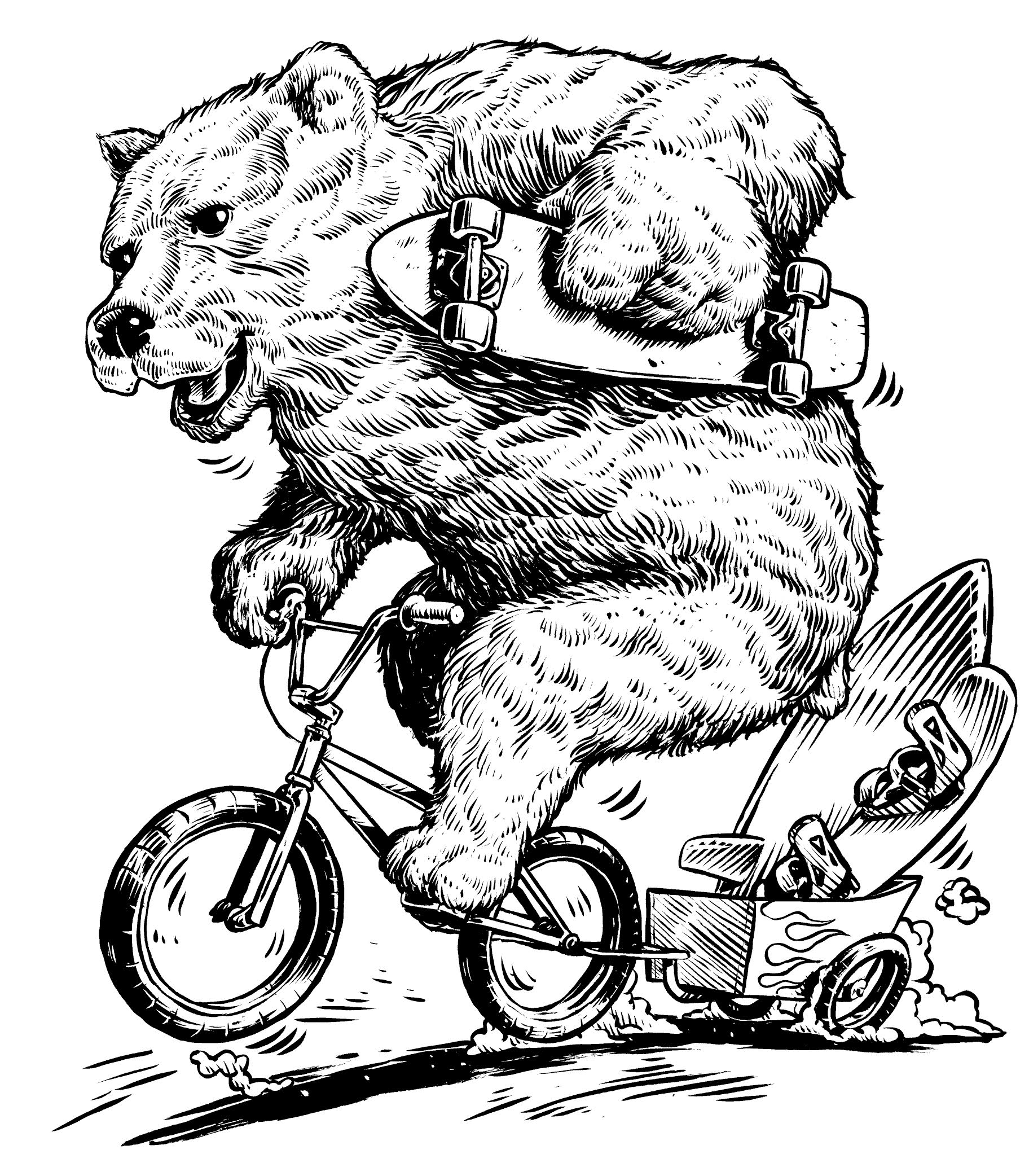 Bears BMX & BS