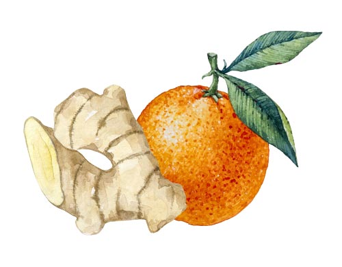 Huile-essentielle d'orange et de gingembre