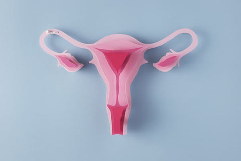 Gynecologist Image 2