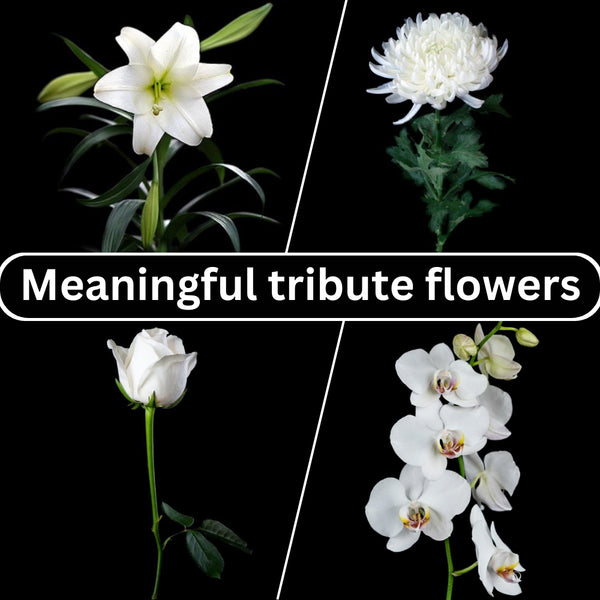 obituary words for mom, short tribute to my mother, flowers are suitable for funerals