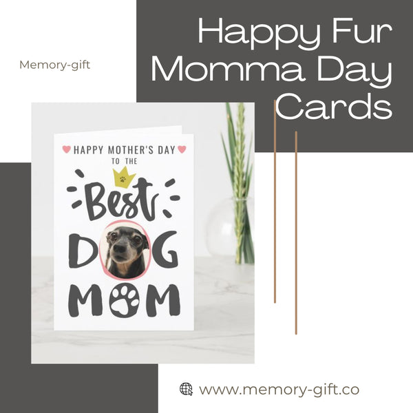 10 Mother's Day Gifts for Dog Moms in 2023