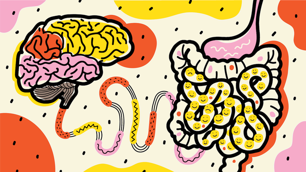 connection between stress and gut microbiome