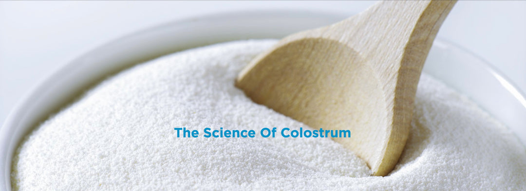 colostrum powder