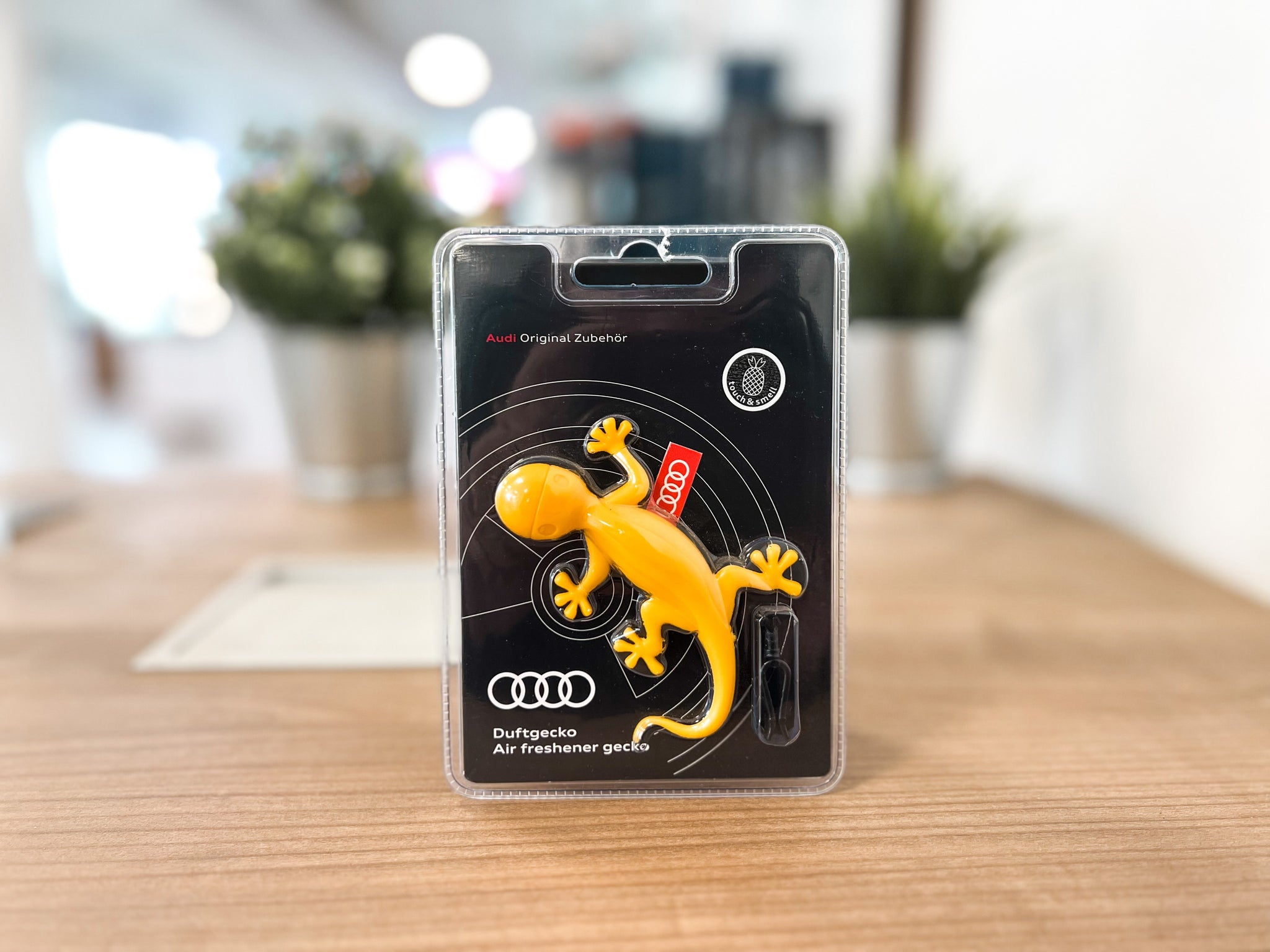 Bürsten und Zubehör für Audi Q4