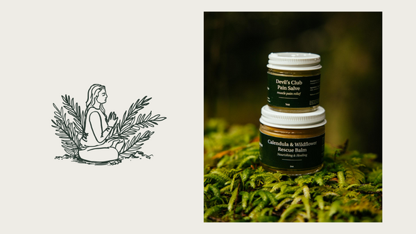 standing spruce salve