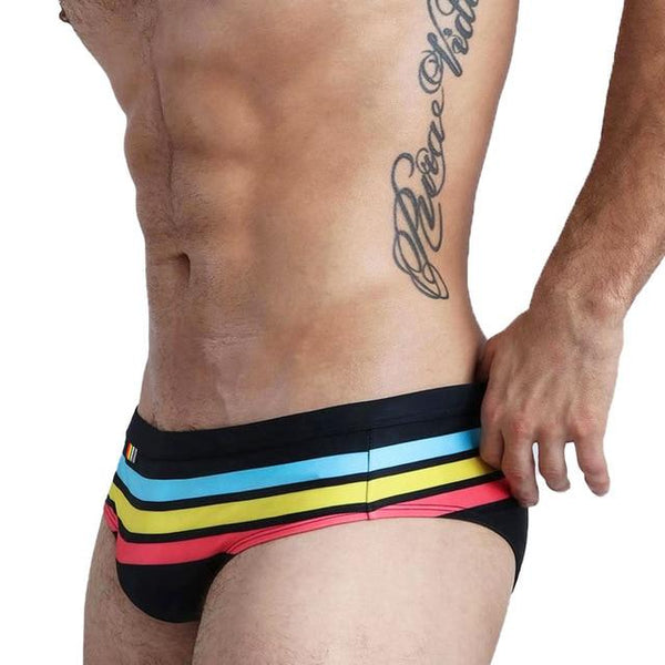 Rainbow Striped Swim Briefs – Queer In The World: The Shop