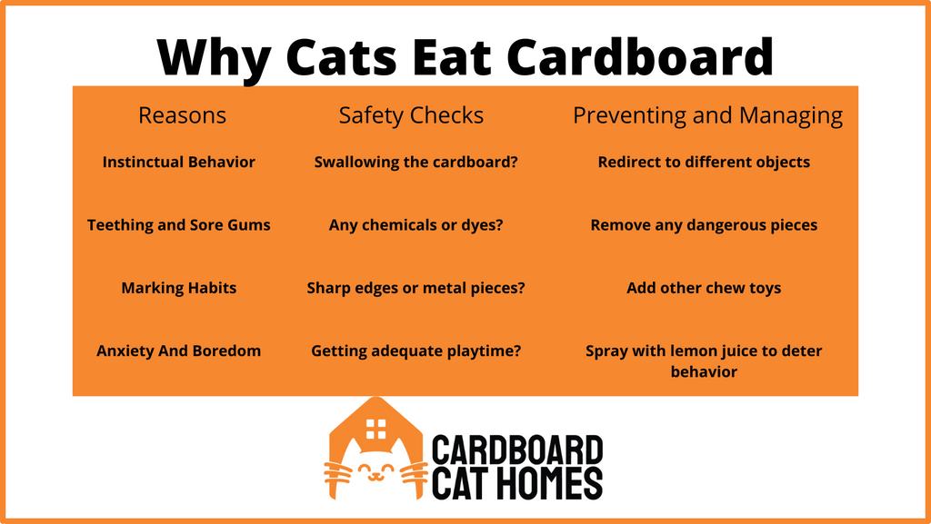 infographic cats eating cardboard explained
