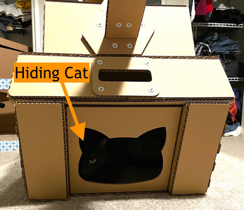 cat hiding in cardboard tank