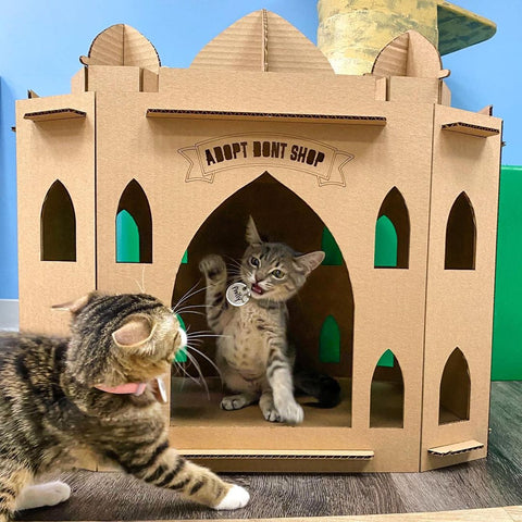 Kittens playing inside of the Cardboard Cat Homes Taj Mahal Cat House