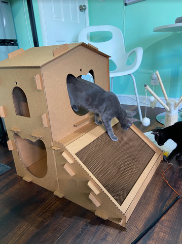 Cat playing with the cat scratcher in the Cardboard Cat Homes Cat Mansion