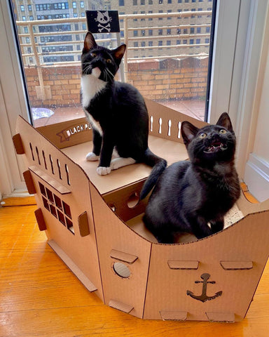 Two cats sitting on top of the Cardboard Cat Homes Kitty Pirate Ship