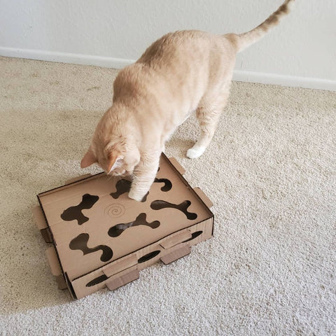 Cat playing with the Cardboard Cat Homes Cat Puzzler