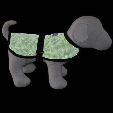 Reflective Dog Jackets & Accessories - illumiNITE