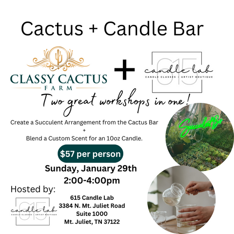 Cactus and Candle Bar