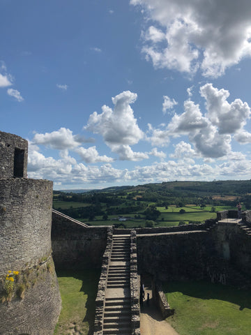 Walking in Dinefwr park in carmarthenshire