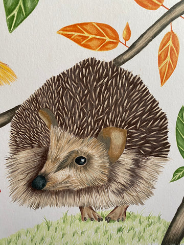 drawing of hedgehog from the garden